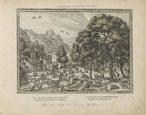 Creation of Man by Pieter van der Borcht (I)
