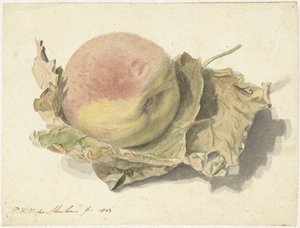 Peach on Two Leaves by Pieter van der Meulen