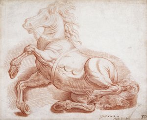 A Fallen Horse
