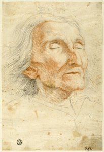 Face of an Old Man with Eyes Closed