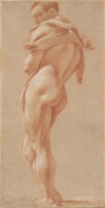 Standing Male Nude Seen from Behind by Pietro Faccini