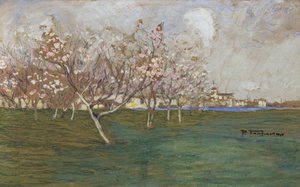 Spring