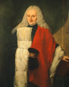 Portrait of Senator of Republic