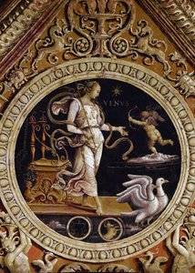 Allegorical representation of Venus