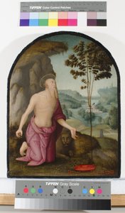 Saint Jerome in the Wilderness by Pietro Perugino