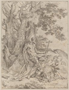 Saint Jerome