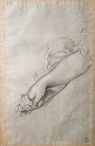 Hands and arms, study for The Golden Acortonage fresco