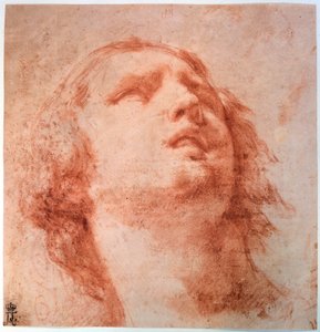 Head Study of a Woman Looking Up