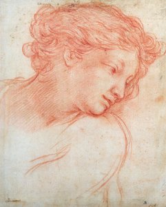 Study of a Head of a Girl
