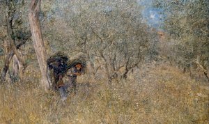 Among olive trees, fascines, by Plinio Nomellini by Plinio Nomellini