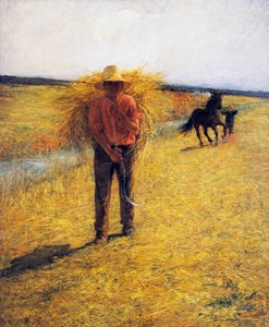 Hay harvesting