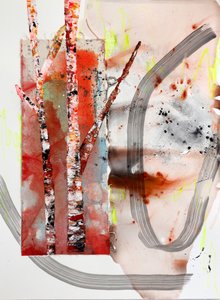 Birch Forest Abstract