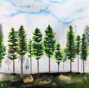 Evergreen Forest Serenity by Poonam Choudhary