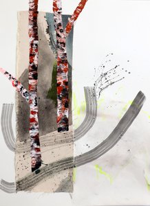 Vibrant Birch Forest