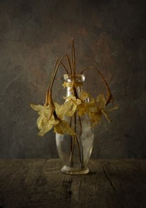 Moody Floral Still Life by Popa Kornel Andras