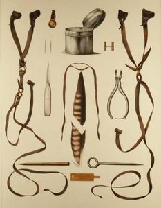 Equipment for Falconry, from 