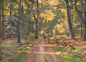 Forest Road near Dyrnæs