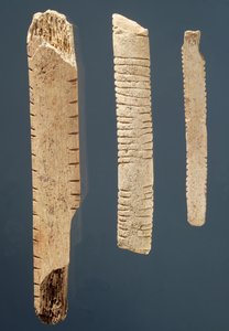 Three Decorated Bones