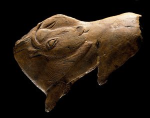 Bison getting up (Sculpture in reindeer wood from the shelter of the Madeleine in Dordogne)