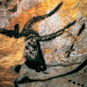 Parietal painting depicting an auroch, Bulls Room, Lascaux cave, Paleolithic Magdalenian period