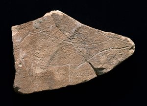 Petroglyph Representing a Deer, Parpallo Cave, Spain. Upper Paleolithic, Solutreen