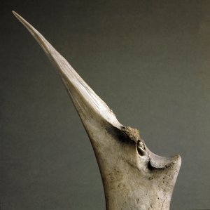 Tip of Bones from the Polada Tourbiere by Prehistoric Prehistoric