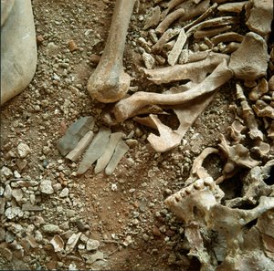 Prehistory: double sepulture of adults and children. Detail view of the funeral trousseau from the Candid Arene Cave (Finale Liguria), Liguria. Mesolithic, 7000-6000 BC. Genes, museo di archeologia ligure