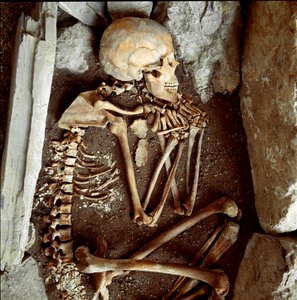 Female skeleton from the cave of the Candide Arene. Stone age, neolithic. Museo di archeologia Ligure, Genoa