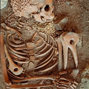 Skeleton and funerary trousseau of teenagers said of the young prince from the cave of the Arene Candide: necklace of shells, deer horn and flint. Stone Age, Upper Paleolithic. Museo di archeologia Ligure, Genoa