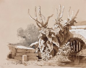 Study of Plants by a Ditch, with Additions by an Instructor by Prince Gaetano Maria Federico di Borbone