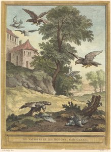 Vultures and Pigeons by Quentin Pierre Chedel after Jean Baptiste Oudry