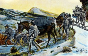 First World War: group of Italian Alpine hunters in recognition with their mules in 1915 by Quinto Cenni