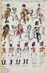 Napoleonic Troops of Grande Armee