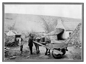 Old Irish Low-Back Car, 1901
