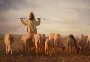 Shepherd Golden Hour by Rachel Pansky