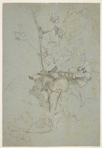 Plant Study by Rachel Ruysch