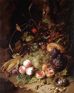 Still-life with Fruit and Insects by Rachel Ruysch