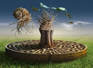 Dreamscape Labyrinth by Radoslav Penchev