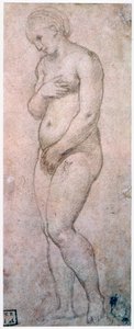 Study of Venus by Raffaello Sanzio Raphael