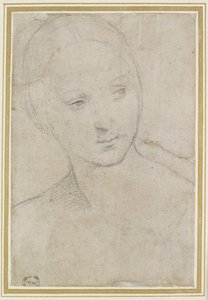 Study of the Head of a young Woman by Raffaello Sanzio Raphael