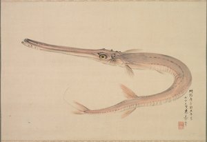 Needlefish Yagara