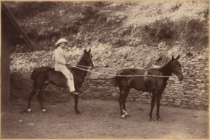 Captain H.S. Rawhinson