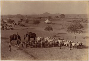 Heavy Field Battery, Jhansi