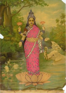 Lakshmi Embellished 2
