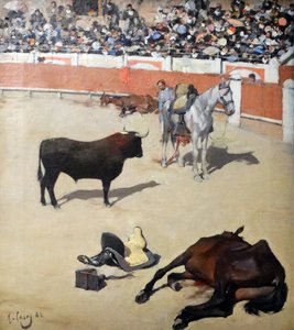 Bulls