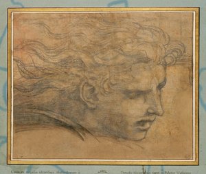 Head of a Young Man, Three Quarters Towards the Right