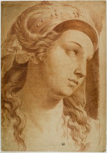 Head of Comity