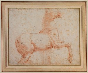Study of one of the Quirinal Marble Horses by Raphael
