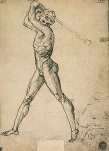 Hercules kills the bull by Raffaello Sanzio Raphael