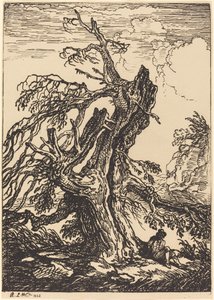 Study of a Tree by Raphael Lamar West
